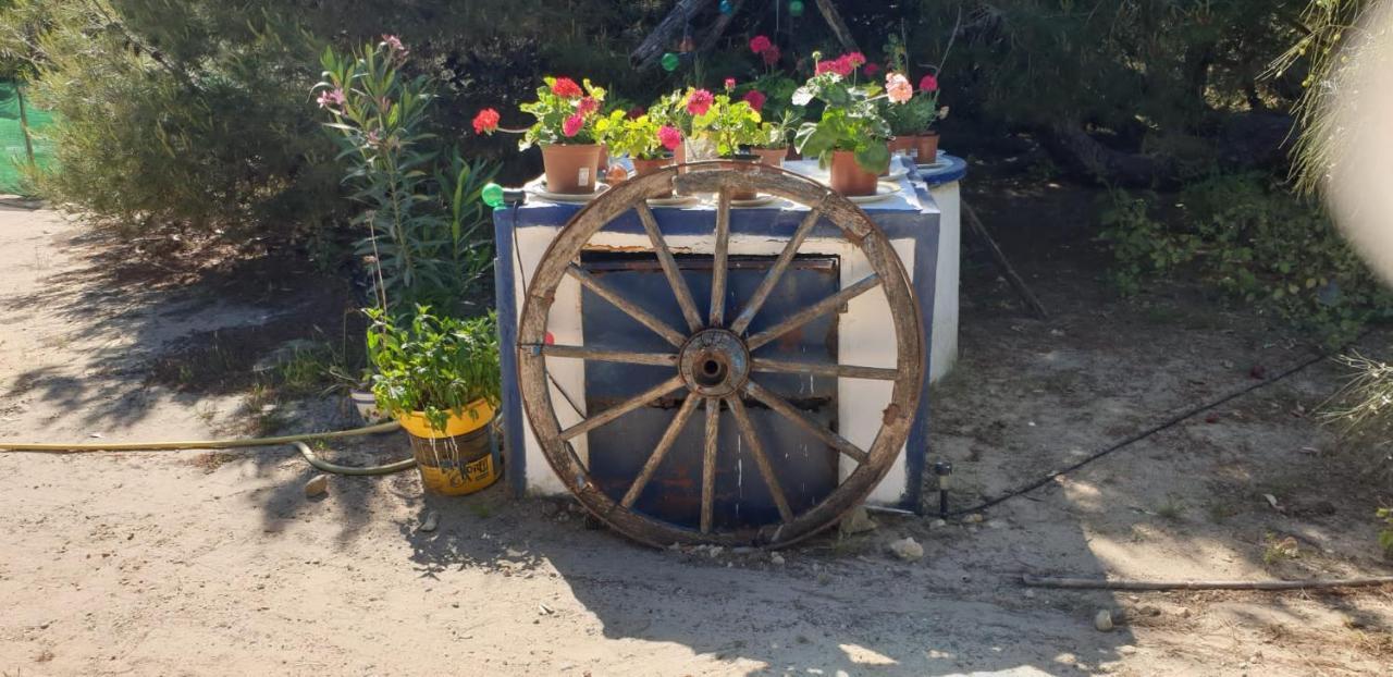 Finca Las Dunas Con Dos Chalets Con Jacuzzis En Primera Linea De Playa Uno De 4 Dormitorios Y Otro De 2 Dormitorios Rota Esterno foto