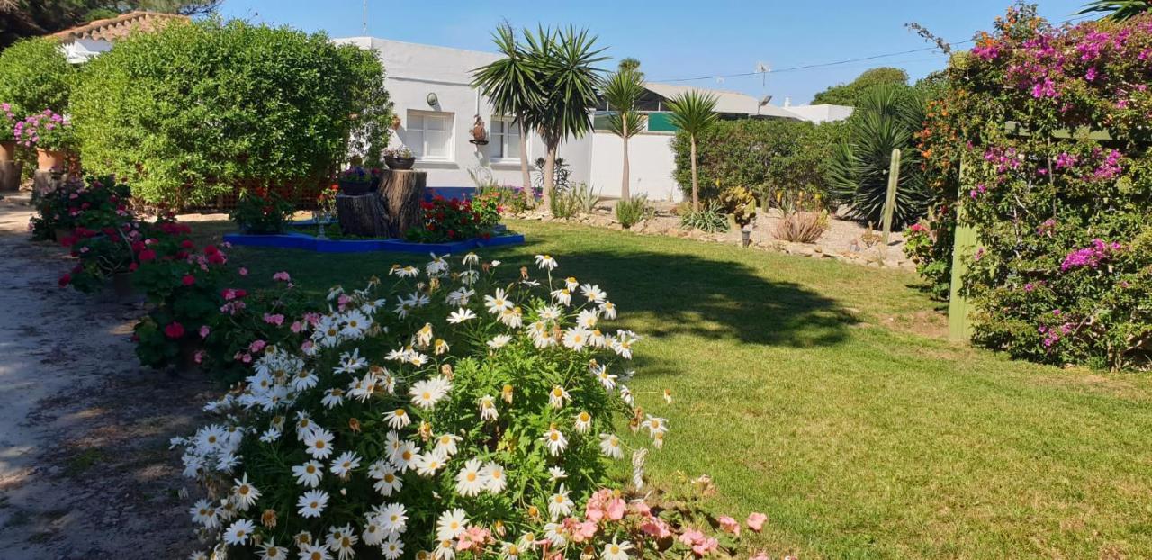 Finca Las Dunas Con Dos Chalets Con Jacuzzis En Primera Linea De Playa Uno De 4 Dormitorios Y Otro De 2 Dormitorios Rota Esterno foto