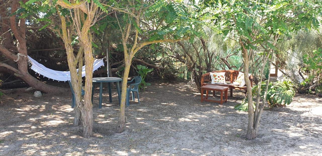 Finca Las Dunas Con Dos Chalets Con Jacuzzis En Primera Linea De Playa Uno De 4 Dormitorios Y Otro De 2 Dormitorios Rota Esterno foto