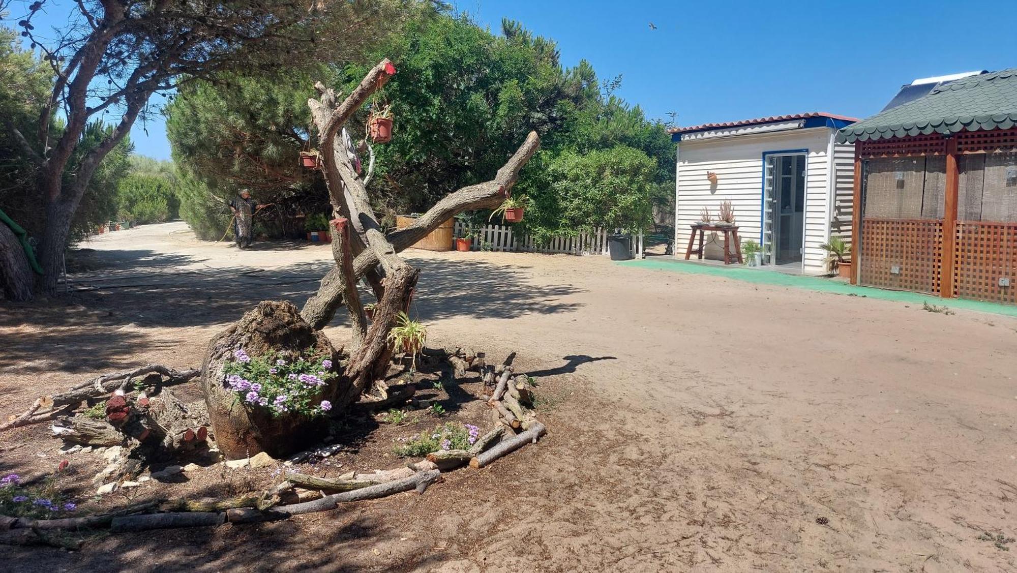 Finca Las Dunas Con Dos Chalets Con Jacuzzis En Primera Linea De Playa Uno De 4 Dormitorios Y Otro De 2 Dormitorios Rota Esterno foto