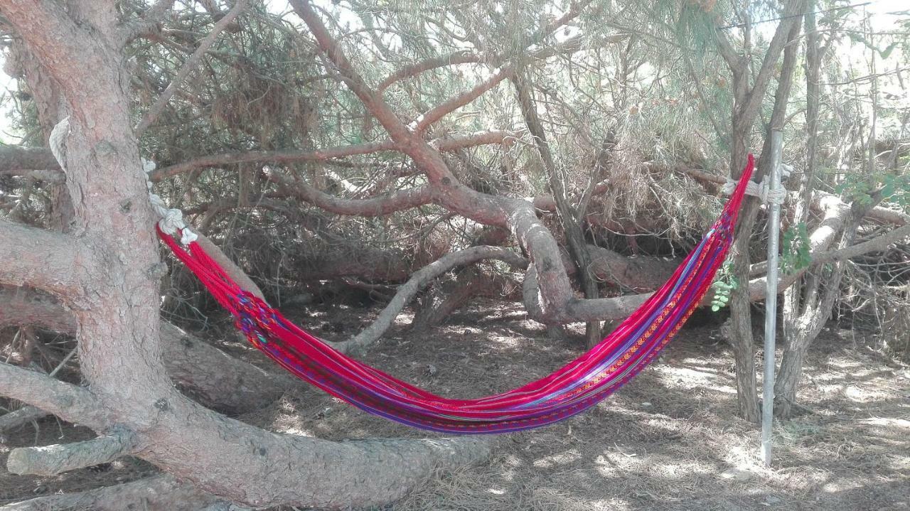 Finca Las Dunas Con Dos Chalets Con Jacuzzis En Primera Linea De Playa Uno De 4 Dormitorios Y Otro De 2 Dormitorios Rota Esterno foto